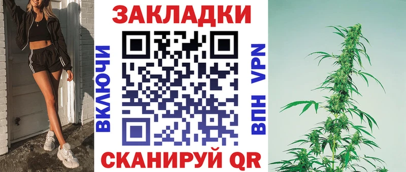 Купить закладку Cocaine  Метадон  Alpha-PVP  Каннабис  ГАШ  Меф  Псилоцибиновые грибы  Кировград