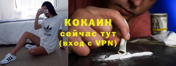 тгк Козельск
