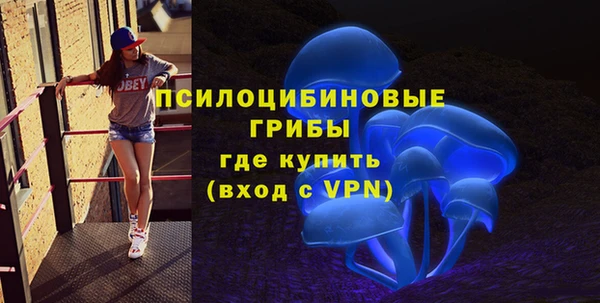 тгк Козельск