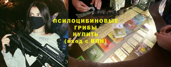 тгк Козельск