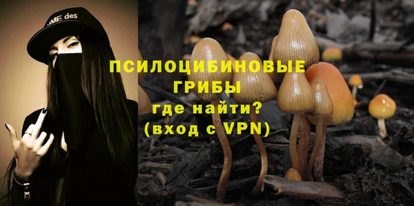 прущие крисы Козловка