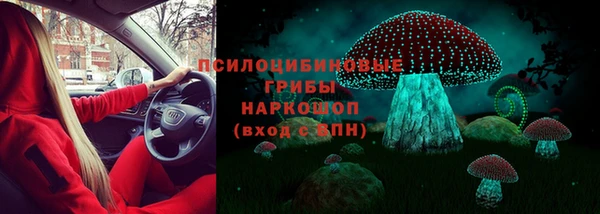 тгк Козельск